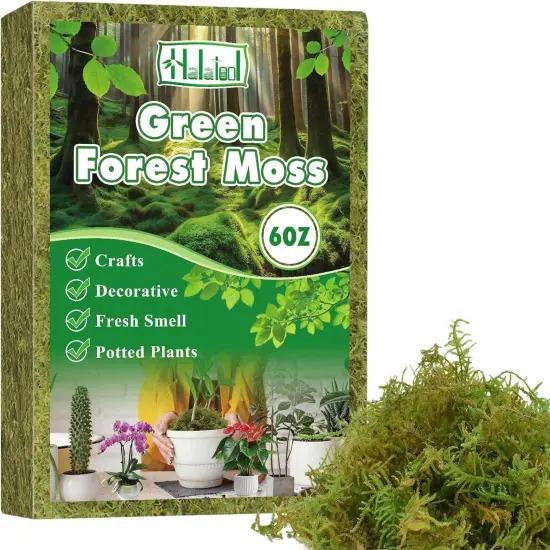 Green Moss for Indoor Plants, 8QT Orchid Moss for Repotting, Forest Moss for Potted Plants, Real Moss for Succulent Carnivorous Houseplant Terrariums Garden Reptiles {1}
