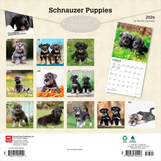 Schnauzer Puppies | 2026 12 x 24 Inch (Hanging) Monthly Square Wall Calendar | Plastic-Free {2}