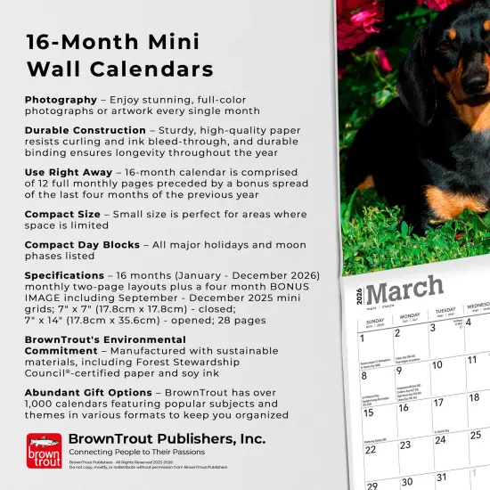 Dachshunds | 2026 7 x 14 Inch (Hanging) Monthly Mini Wall Calendar {6}