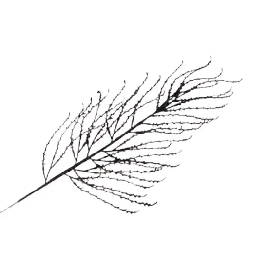 36" Black Flocked Branch Halloween Artificial Plastic Pick {1}