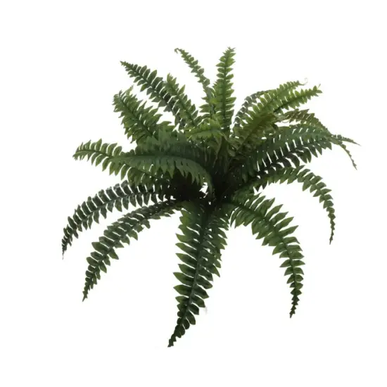 4pc Boston Fern Plant with 25 Silk Fronds 28" Wide - 2025 Spring Collection {1}