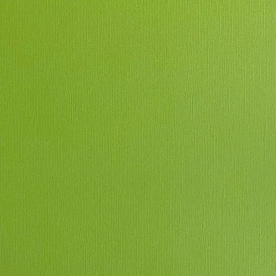 GRASSHOPPER - Textured 12x12 Cardstock - Encore Paper {1}