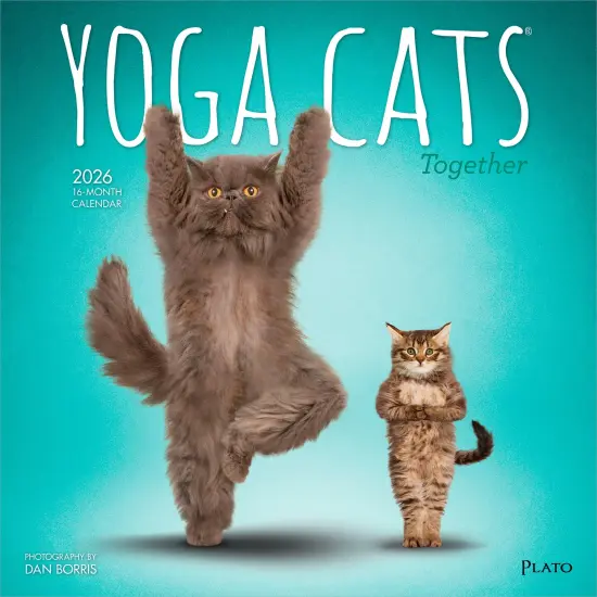 Yoga Cats Together OFFICIAL | 2026 12 x 24 Inch (Hanging) Monthly Square Wall Calendar {1}