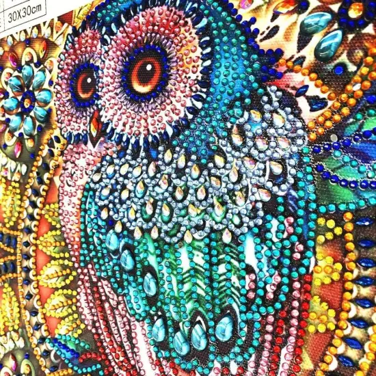 Owl Diamond Art Painting Kits for Adults {4}