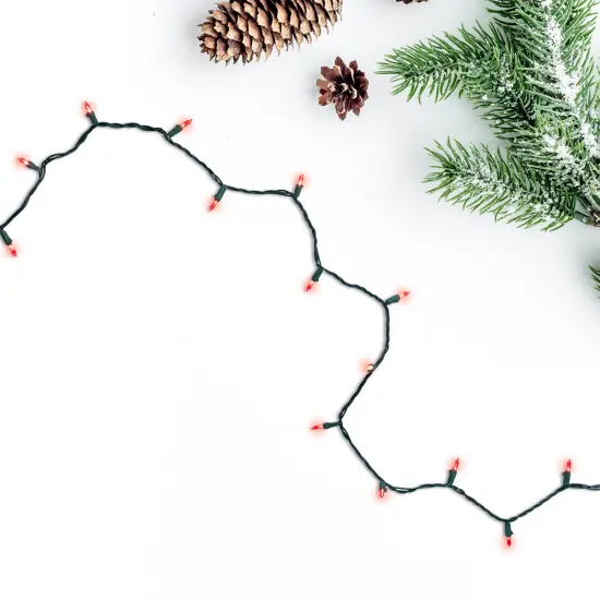 Northlight LED Mini Christmas Lights - Red - 16.25' Green Wire - 50ct {1}