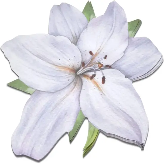 Gift Boutique White Flower Paper Place Mats Disposable Shaped {3}