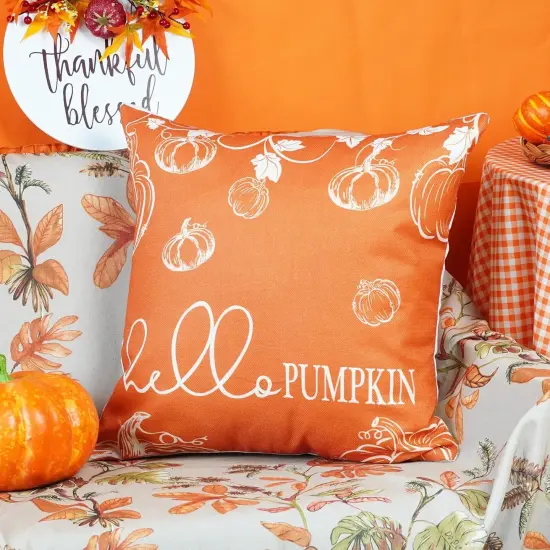 Set of 2 Fall Throw Pillow Covers 20x20 {4}