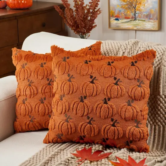 Set of 2 Fall Throw Pillow Covers 18x18 {1}