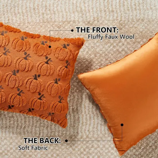 Set of 2 Fall Throw Pillow Covers 18x18 {3}