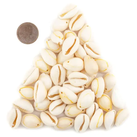 The Bead Chest Beige Drilled Cowrie Shells Large 13mm White Unusual {2}