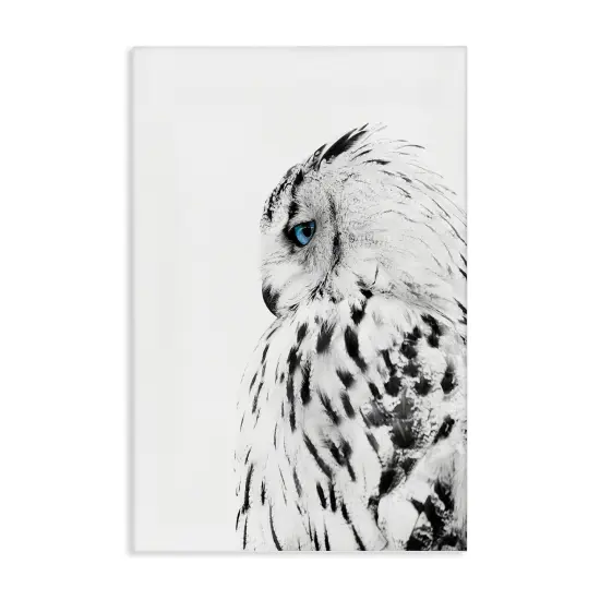 Stupell Industries Owl with Strong Blue Gaze Canvas Wall Art Design by Design Fabrikken {1}