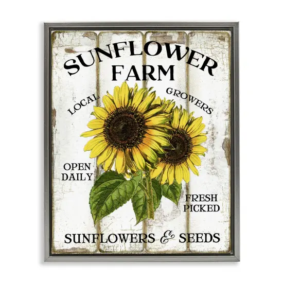 Stupell Industries Antique Sunflower Farm Seeds Floater Framed Canvas Wall Art Design by Creatif Belle {1}