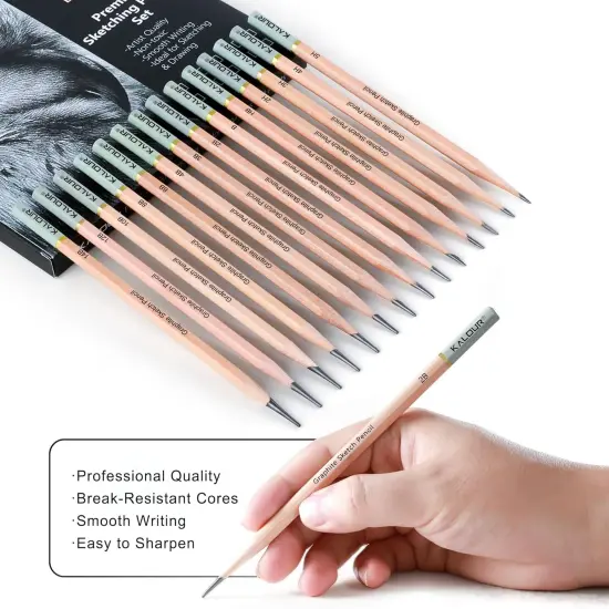 18-Piece Professional Sketch Pencil Set - Includes 5H to 14B Pencils,Graphite, Vinyl Eraser, Kneaded Eraser,Sharpener and Paper Blending Stump - Ideal for Artists and Beginners {4}