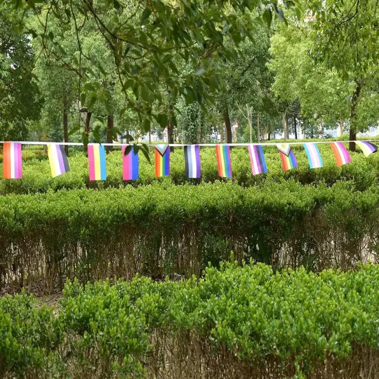 2 Set All Pride Rainbow Gay Flags Banner String Bunting LGBTQ Decoration,64 Feet 60 Pcs {4}
