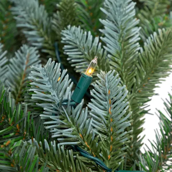 Northlight Pre-Lit Artificial Blue Spruce Christmas Wreath - 48" - Clear Green {5}