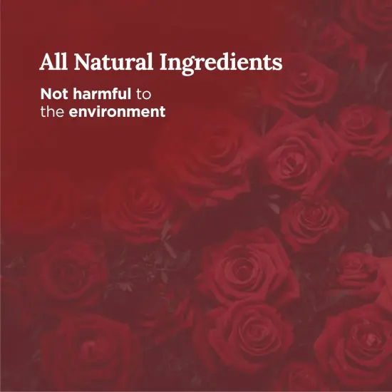 Magnificent 101 Love Struck Aromatherapy Tin Candle | 6 Oz - 35 Hour Burn | All Natural Soy Wax with Sage Rose Jasmine Lavender Lilac for Love Reignition, Purification, Manifestation, Chakra Healing Multicolor {3}