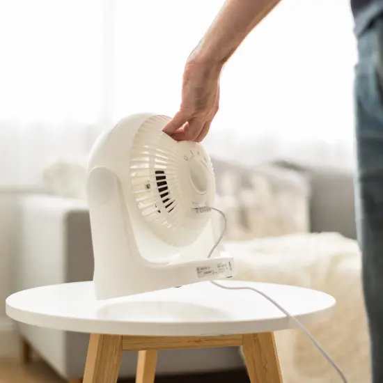 IRIS WOOZOO Circulator Fan, 5.5" Blade, White {4}