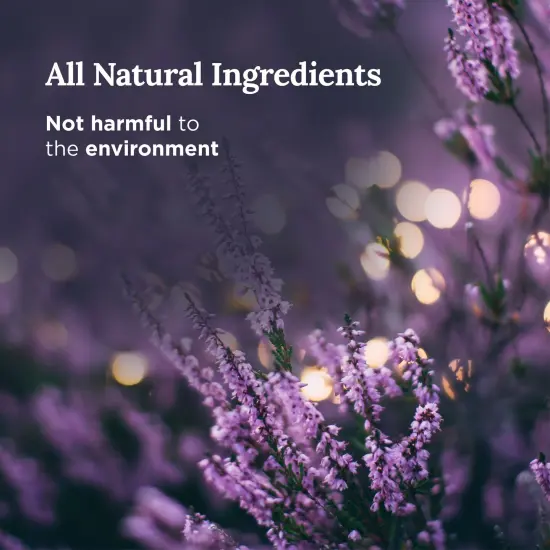 Magnificent 101 Set of 3 Long Lasting Pure Sage + Lavender Candles | 3.5 Oz Each - 42 Hour Burn | Natural, Organic Soy Wax Candle for House Energy Cleansing & Manifestation Sage Smudge Kit Incense Green {3}