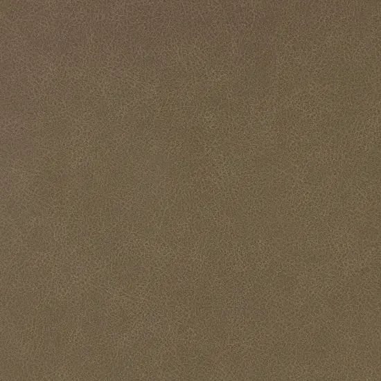 Richloom GREYSTONE- Faux Leather Sienna {1}