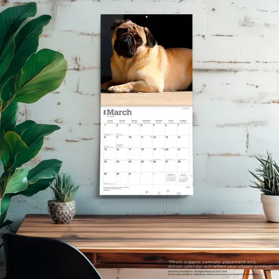 Pugs | 2026 12 x 24 Inch (Hanging) Monthly Square Wall Calendar | Plastic-Free {5}