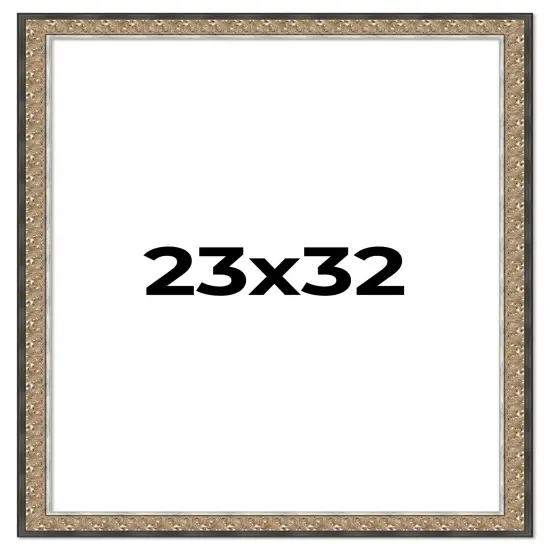 Photo Size Ornate Silver Picture Frame - UV Acrylic, Foam Board Backing, Hanging Hardware {1}