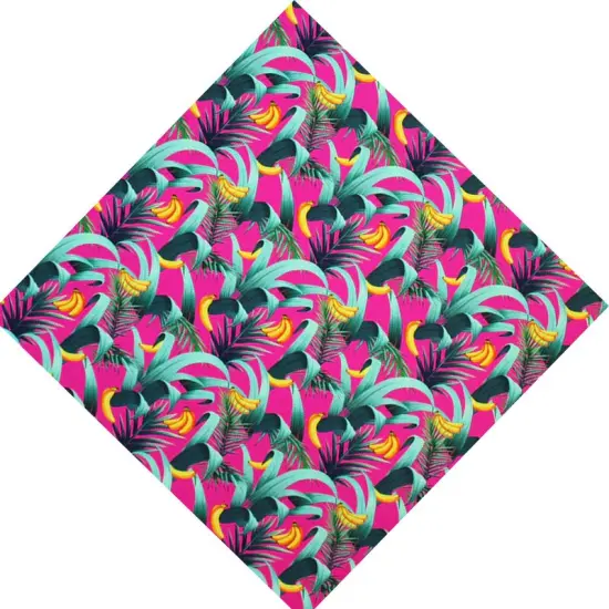 Bananas And Palms Printed Spandex {5}