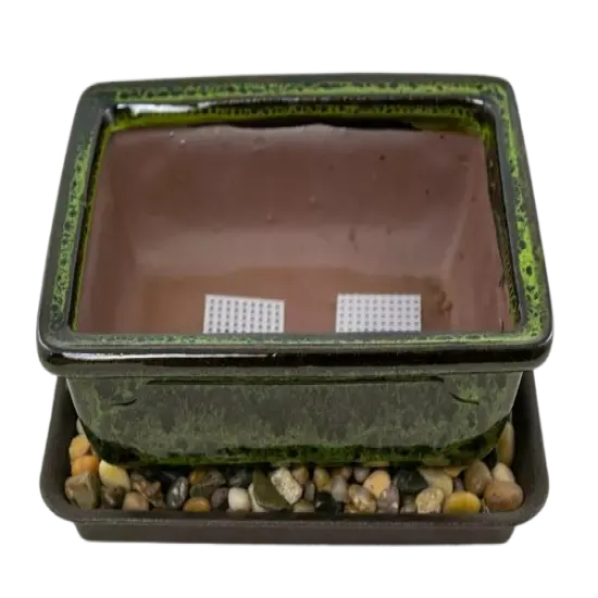 8" Rectangular Moss Green Bonsai Cactus Succulent Pot + Tray + Rock + Mesh Combo {1}