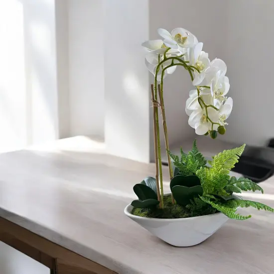 20" Artificial Phalaenopsis Orchid Arrangement | Faux White Orchid in Ceramic Bowl {2}