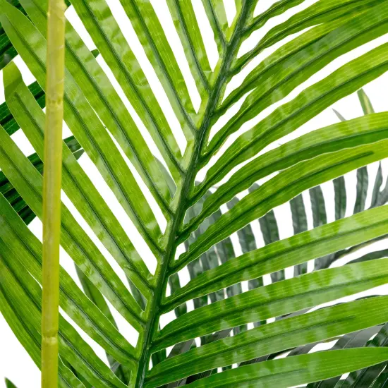 Northlight Potted Artificial Green Areca Palm Tree - 5.25' {6}