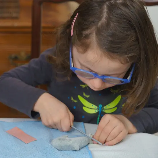 Mothers Day Gift - Orca Soapstone Carving Kit {3}