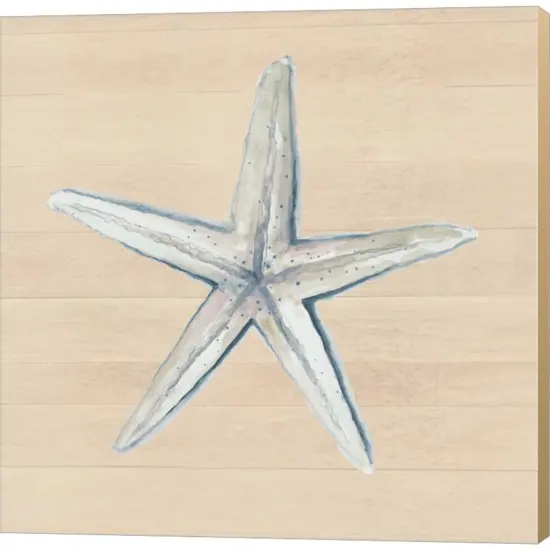 Starfish by Patricia Pinto 12" x 12" Canvas Wall Art {1}