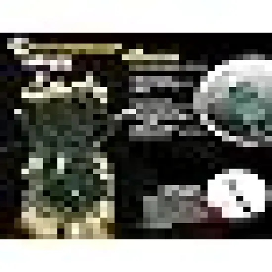 Christmas Lights Outdoor Warm White {5}