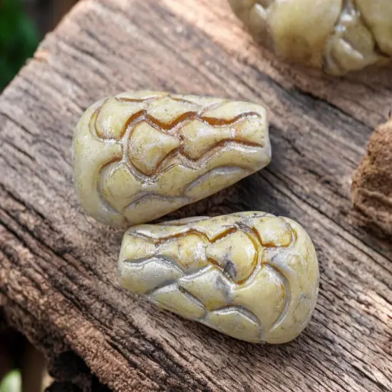 *6* 25x12mm Champagne Alabster Mermaid Scale Large Drop Beads {3}