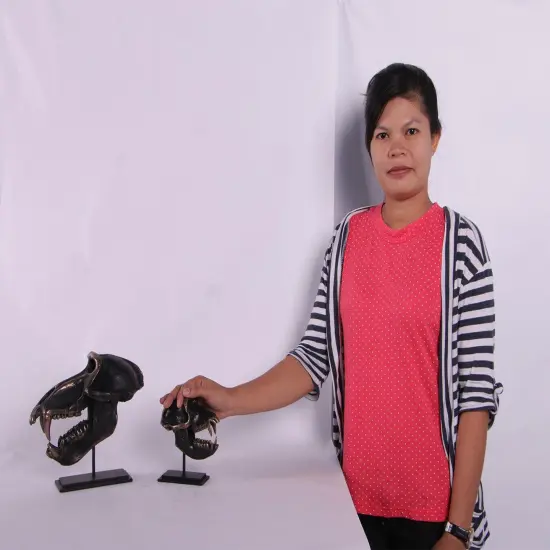 Monkey Macaque Skull Life Size Statue {2}