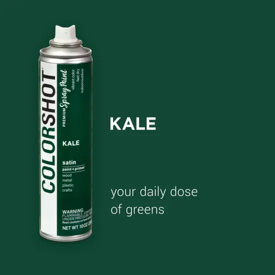COLORSHOT Satin Spray Paint Kale (Dark Green) 10 oz. 4 Pack {3}