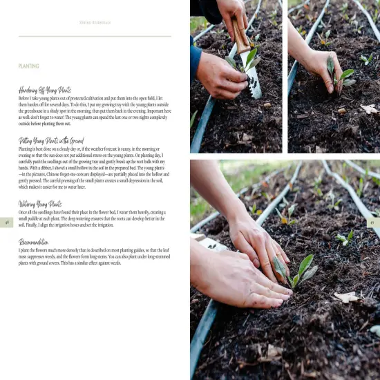 Sow, Grow, and Harvest: A Year-Round Guide to Gardening and Arranging Cut Flowers {4}