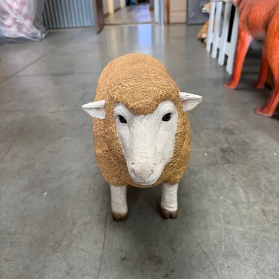 Baby Merino Ewe Life Size Statue {6}