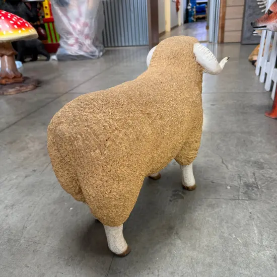 Baby Merino Ram Life Size Statue {6}