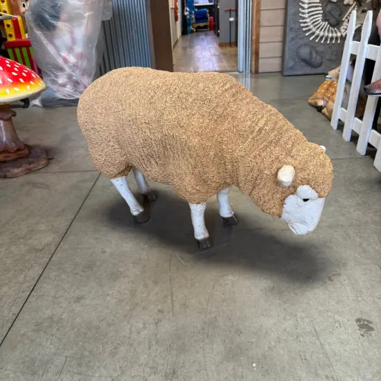Merino Ewe Sheep Head Down Life Size Statue {4}