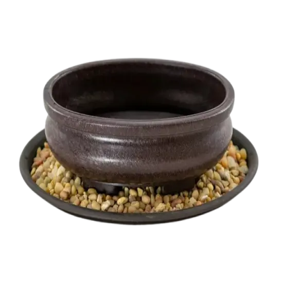 7" Oval Heavy Duty Plastic Bonsai / Succulent Pot + Tray + Rock + Mesh Combo {1}