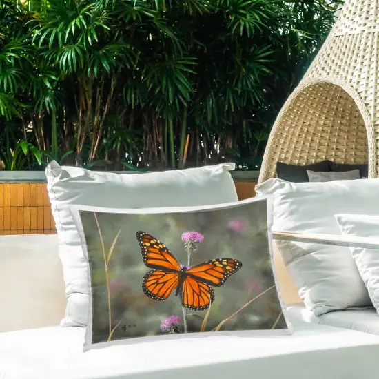 Summer Visitor Butterfly Outdoor Printed Pillow Design by Mark Kelso, 14 x 7 x 20 {2}