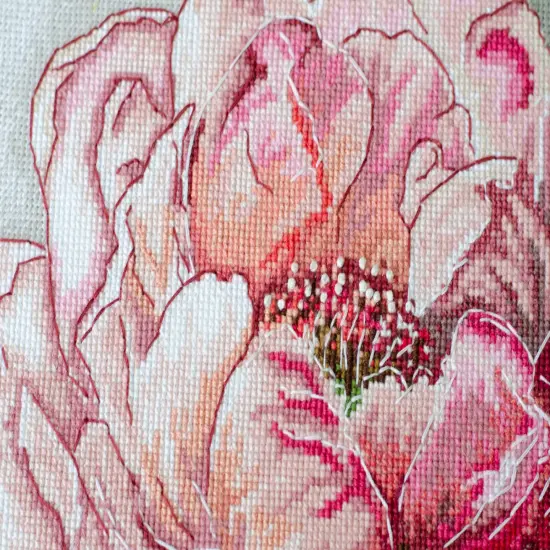 Counted Cross-stitch kit -Graceful beauty AH-256 {2}