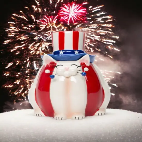 Ceramic American Cat Candy Box, Gift for Patriot, Independence Day Decor, Cat Lover Gift, Kitchen Decor {2}