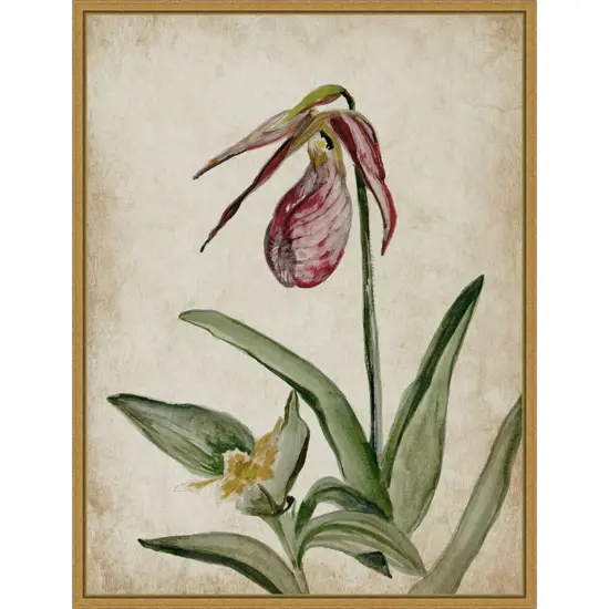 Elegance Unveiled II by Jacob q Framed Canvas Wall Art {1}