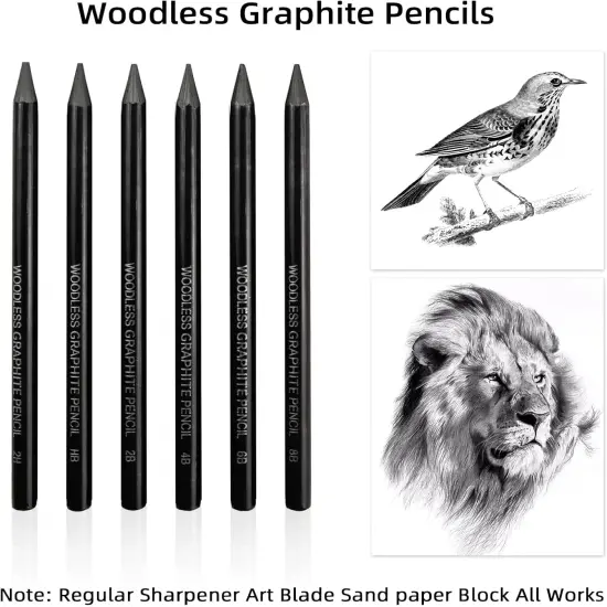 Woodless Graphite Drawing Pencils Set,6 Black Lead Pre-Sharpened 2H HB, 2B, 4B, 6B 8B Degrees Coloring Pencils, 50PK Blank Watercolor Card for Sketching,Writing,Shading {3}