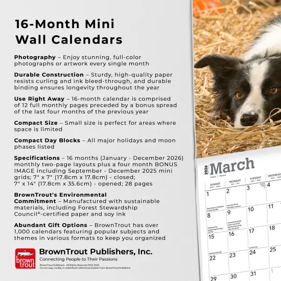 Border Collies | 2026 7 x 14 Inch (Hanging) Monthly Mini Wall Calendar {6}