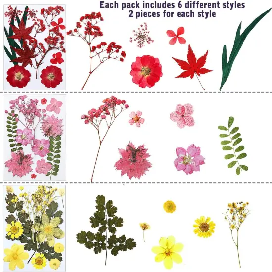 72 Pcs Dried Pressed Flowers for Resin Molds {2}
