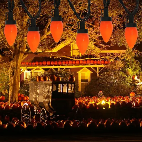 25Ft Halloween Orange String Lights {5}