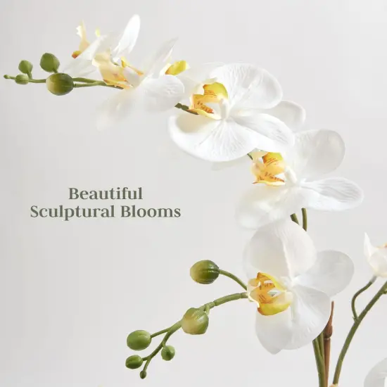 Faux Orchid Plant w/Succulents, Premium Artificial Indoor Flower Display Stands 24” w/Beautiful Sculptural Blooms and Succulents That Lasts Forever, Grey Planter Pot Included {2}