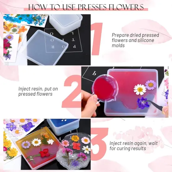 153 Pcs Dried Pressed Flowers for Crafts {5}